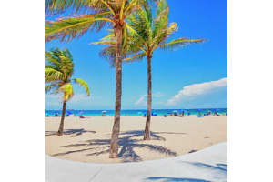 3850 Washington Street #212, Hollywood, Fl 33021, Hollywood 3850 Washington Street #212, Hollywood, Fl 33021, Hollywood