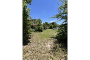 727 Washington Avenue, Apopka, FL 32703 - MLS#B26030454