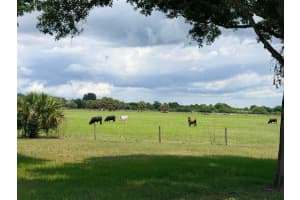 1206 10th Street, Okeechobee, FL 34974 - MLS#B26036822