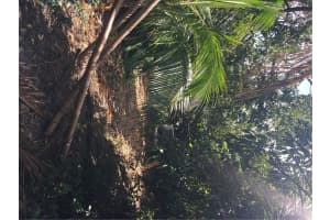 MLS# F10002413, Fort Lauderdale, Florida 33305