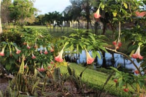 9788 Royal Palm Blvd, Coral Springs, FL 33065, Sold 04/11/18