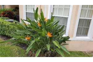 1009 Belmont Ln, North Lauderdale, FL 33068, Sold 09/10/18