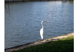 MLS# F10155103, Tamarac, Florida 33321