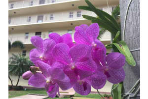 4629 Poinciana St, Lauderdale-By-The-Sea, FL 33308, Sold 04/15/19