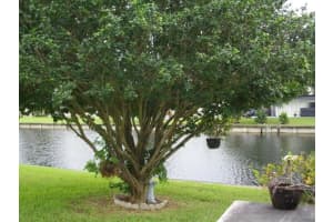 7010 NW 63rd Ct, Tamarac, FL 33321, Sold 11/26/19