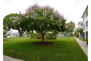 1000 Davie Blvd #209, Fort Lauderdale, FL 33315, Sold 09/17/19