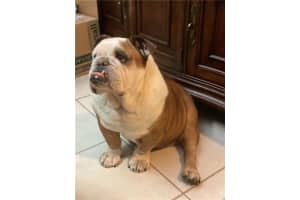 4150 NW 67th Terrace, Lauderhill, FL 33319, Sold 04/30/20