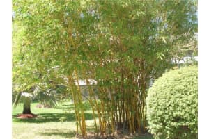 1430 Sheridan St #21g, Hollywood, FL 33020, Sold 05/15/20