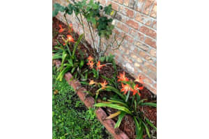 11300 NW 40th St, Coral Springs, FL 33065, Sold 11/18/20