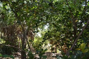 326 Jupiter Lakes Blvd, Jupiter, FL 33458, Sold 05/05/21