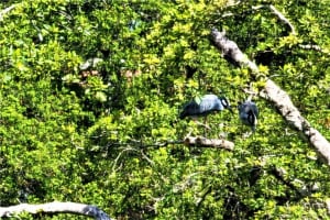 1400 NE 57th St APT 303, Fort Lauderdale, FL 33334, Sold 05/31/22