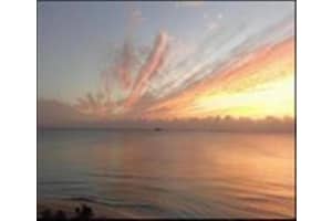 200 S BIRCH RD   903, Fort Lauderdale, FL 33316 Sold 07/14/23