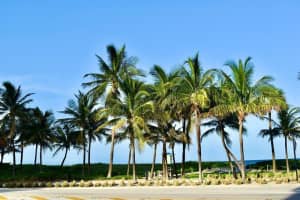 405 N Ocean Blvd   409, Pompano Beach, FL 33062 Sold 10/21/22