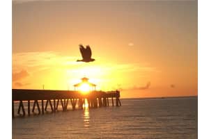 1627  Riverview Rd   412 Deerfield Beach, FL 33441 Sold 05/09/23