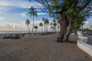 3015 N Ocean Blvd   4c Fort Lauderdale, FL 33308 Sold 06/16/23