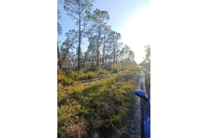 MLS# F10380465, Sebring, Florida 33872