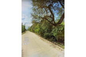 0000 Lone Pine Trail Other, FL 32666 - MLS#F10389229