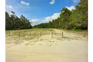 0000 Lone Pine Trail Other, FL 32666 - MLS#F10389229