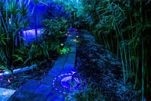 6614 NW 48th Mnr, Coral Springs, FL 33067 Sold 09/20/23