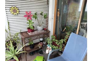 2450 NE 135th St 810, Miami, FL 33181 Sold 08/19/24