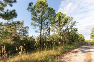 754 American Street NW, Lake Placid, FL 33852 - MLS#F10405889