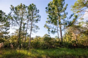 754 American Street NW, Lake Placid, FL 33852 - MLS#F10405889