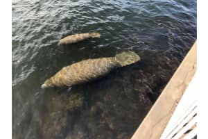 1600 S Ocean Dr 5H, Hollywood, FL 33019 Sold 03/19/24