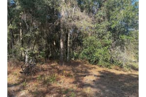 7178 W Wildfire Lane, Homosassa, FL 34448 Sold 10/01/24