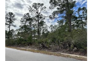 1112 Redbird St, Lake Placid, FL 33852 Sold 10/29/24