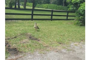 0 SW 58th St, Fort Lauderdale, FL 33331 Sold 07/16/25