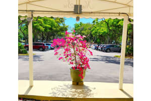 805 Cypress Blvd 307, Pompano Beach, FL 33069 Sold 07/25/25
