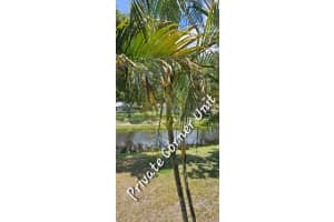 8509 OLD COUNTRY MANOR 308, Davie, FL 33328 Sold 07/17/24