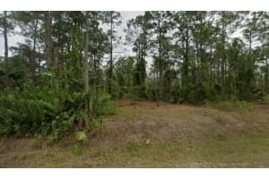 807 Henry Ave, Lehigh Acres, FL 33972 Sold 05/12/25