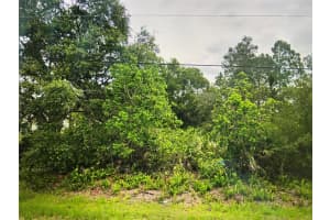 Lot 7 Nutmeg Street, Orlando, FL 32833 Sold 09/30/24