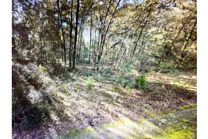 0 NE 8th St, Williston, FL 32696 Sold 03/10/25