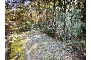 0 NE 8th St, Williston, FL 32696 Sold 03/10/25