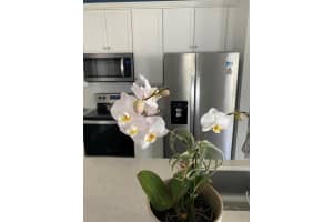 1819 Sandpiper Pointe Pl 1819, Deerfield Beach, FL 33442 Sold 09/10/24