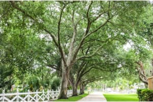 8265 S Virginia Ave, Palm Beach Gardens, FL 33418 Sold 09/27/24