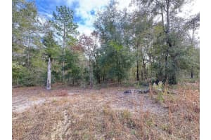 000 NE 155 CT, Williston, FL 32696 Sold 01/28/25
