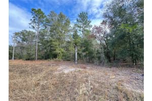000 NE 155 CT, Williston, FL 32696 Sold 01/28/25