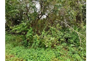 AVENUE S Avenue, Fort Pierce, FL 34947, Fort Pierce, FL 34947 - MLS#F10462472