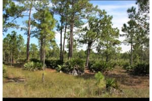 1855 Miller Street, Lehigh Acres, FL 33972 - MLS#F10463186