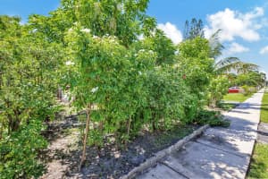 25 SW 11th St, Dania Beach, FL 33004 Sold 11/21/24