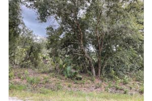15624 NW 306th st, Okeechobee, FL 34972 Sold 12/09/24