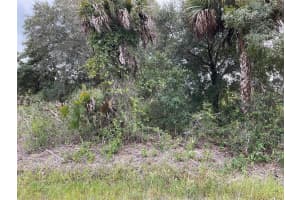 15624 NW 306th st, Okeechobee, FL 34972 Sold 12/09/24