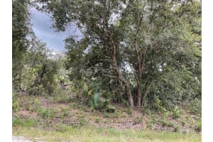 15624 NW 306th st, Okeechobee, FL 34972 Sold 12/09/24