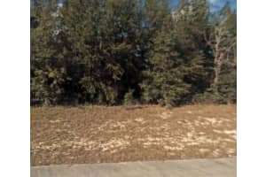 Lot 5 138 Lane, Ocala, FL 34473 - MLS#F10464429