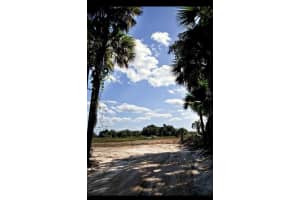 17120 306th Street, Okeechobee, FL 34972 - MLS#F10465312