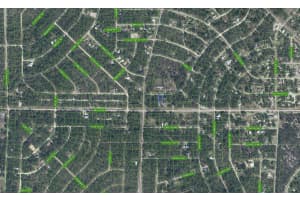 805 Gardenia Street, Lake Placid, FL 33852 - MLS#F10468313