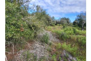 20379 NW 300th, Okeechobee, FL 34972 Sold 05/29/25